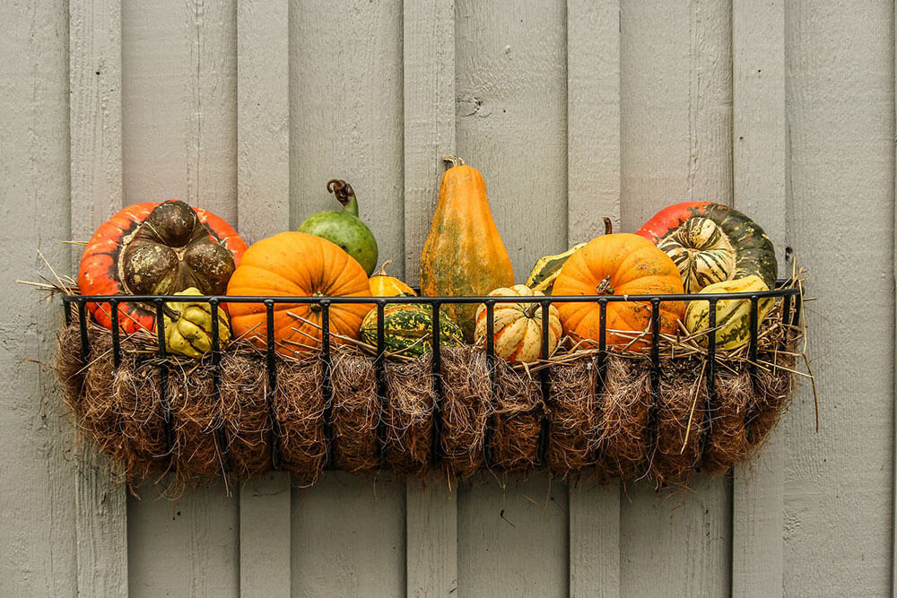 Best Fall Foods That Celebrate the South