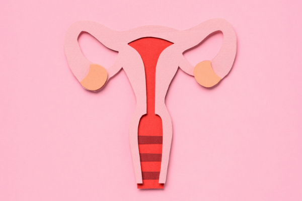 Frequently Asked Questions About Endometrial Ablation